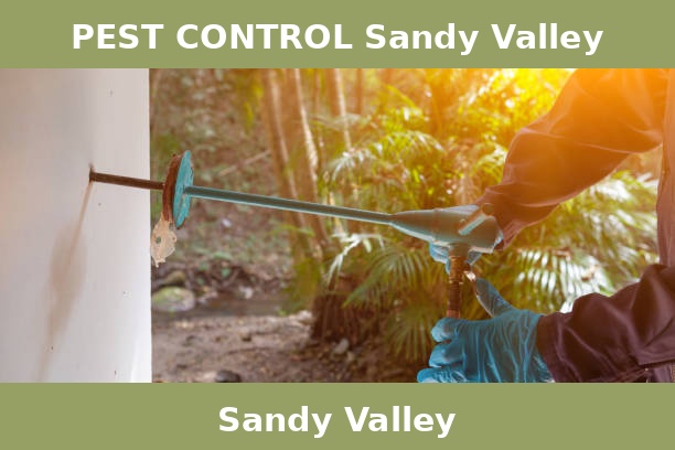 PEST CONTROL Sandy Valley